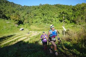 BIB: 
                            <button type="button" onclick="openModal(19090106)" class="btn btn-primary btn-sm float-right btn-popup" data-toggle="modal" data-target=".modal-high-quality">
                        <i class="fas fa-shopping-cart"></i> Add to Cart
                    </button>
                                            <button type="button" onclick="isThisMe(19090106, true)" class="btn btn-success btn-sm float-right btn-popup btn-isme hidden" data-toggle="tooltip" data-placement="bottom" title="นี่คือรูปของคุณใช่ไหม คลิกที่นี่เพื่อเอาเข้าอัลบั้ม">
                        <i class="fas fa-plus"></i> Add to album
                    </button>
                    <button type="button" onclick="isThisMe(19090106, false)" class="btn btn-warning btn-sm float-right btn-popup btn-isnotme hidden">
                        <i class="fas fa-ban"></i> Remove from album
                    </button>