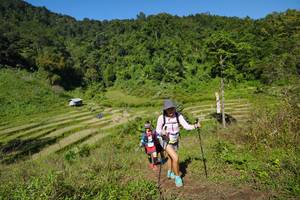 BIB: 
                            <button type="button" onclick="openModal(19098328)" class="btn btn-primary btn-sm float-right btn-popup" data-toggle="modal" data-target=".modal-high-quality">
                        <i class="fas fa-shopping-cart"></i> Add to Cart
                    </button>
                                            <button type="button" onclick="isThisMe(19098328, true)" class="btn btn-success btn-sm float-right btn-popup btn-isme hidden" data-toggle="tooltip" data-placement="bottom" title="นี่คือรูปของคุณใช่ไหม คลิกที่นี่เพื่อเอาเข้าอัลบั้ม">
                        <i class="fas fa-plus"></i> Add to album
                    </button>
                    <button type="button" onclick="isThisMe(19098328, false)" class="btn btn-warning btn-sm float-right btn-popup btn-isnotme hidden">
                        <i class="fas fa-ban"></i> Remove from album
                    </button>