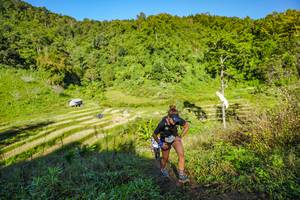 BIB: 
                            <button type="button" onclick="openModal(19349827)" class="btn btn-primary btn-sm float-right btn-popup" data-toggle="modal" data-target=".modal-high-quality">
                        <i class="fas fa-shopping-cart"></i> Add to Cart
                    </button>
                                            <button type="button" onclick="isThisMe(19349827, true)" class="btn btn-success btn-sm float-right btn-popup btn-isme hidden" data-toggle="tooltip" data-placement="bottom" title="นี่คือรูปของคุณใช่ไหม คลิกที่นี่เพื่อเอาเข้าอัลบั้ม">
                        <i class="fas fa-plus"></i> Add to album
                    </button>
                    <button type="button" onclick="isThisMe(19349827, false)" class="btn btn-warning btn-sm float-right btn-popup btn-isnotme hidden">
                        <i class="fas fa-ban"></i> Remove from album
                    </button>