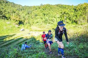 BIB: 
                            <button type="button" onclick="openModal(19349016)" class="btn btn-primary btn-sm float-right btn-popup" data-toggle="modal" data-target=".modal-high-quality">
                        <i class="fas fa-shopping-cart"></i> Add to Cart
                    </button>
                                            <button type="button" onclick="isThisMe(19349016, true)" class="btn btn-success btn-sm float-right btn-popup btn-isme hidden" data-toggle="tooltip" data-placement="bottom" title="นี่คือรูปของคุณใช่ไหม คลิกที่นี่เพื่อเอาเข้าอัลบั้ม">
                        <i class="fas fa-plus"></i> Add to album
                    </button>
                    <button type="button" onclick="isThisMe(19349016, false)" class="btn btn-warning btn-sm float-right btn-popup btn-isnotme hidden">
                        <i class="fas fa-ban"></i> Remove from album
                    </button>