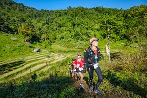 BIB: 
                            <button type="button" onclick="openModal(19350571)" class="btn btn-primary btn-sm float-right btn-popup" data-toggle="modal" data-target=".modal-high-quality">
                        <i class="fas fa-shopping-cart"></i> Add to Cart
                    </button>
                                            <button type="button" onclick="isThisMe(19350571, true)" class="btn btn-success btn-sm float-right btn-popup btn-isme hidden" data-toggle="tooltip" data-placement="bottom" title="นี่คือรูปของคุณใช่ไหม คลิกที่นี่เพื่อเอาเข้าอัลบั้ม">
                        <i class="fas fa-plus"></i> Add to album
                    </button>
                    <button type="button" onclick="isThisMe(19350571, false)" class="btn btn-warning btn-sm float-right btn-popup btn-isnotme hidden">
                        <i class="fas fa-ban"></i> Remove from album
                    </button>