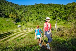 BIB: 
                            <button type="button" onclick="openModal(19351047)" class="btn btn-primary btn-sm float-right btn-popup" data-toggle="modal" data-target=".modal-high-quality">
                        <i class="fas fa-shopping-cart"></i> Add to Cart
                    </button>
                                            <button type="button" onclick="isThisMe(19351047, true)" class="btn btn-success btn-sm float-right btn-popup btn-isme hidden" data-toggle="tooltip" data-placement="bottom" title="นี่คือรูปของคุณใช่ไหม คลิกที่นี่เพื่อเอาเข้าอัลบั้ม">
                        <i class="fas fa-plus"></i> Add to album
                    </button>
                    <button type="button" onclick="isThisMe(19351047, false)" class="btn btn-warning btn-sm float-right btn-popup btn-isnotme hidden">
                        <i class="fas fa-ban"></i> Remove from album
                    </button>