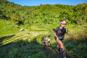 BIB: 
                            <button type="button" onclick="openModal(19349454)" class="btn btn-primary btn-sm float-right btn-popup" data-toggle="modal" data-target=".modal-high-quality">
                        <i class="fas fa-shopping-cart"></i> Add to Cart
                    </button>
                                            <button type="button" onclick="isThisMe(19349454, true)" class="btn btn-success btn-sm float-right btn-popup btn-isme hidden" data-toggle="tooltip" data-placement="bottom" title="นี่คือรูปของคุณใช่ไหม คลิกที่นี่เพื่อเอาเข้าอัลบั้ม">
                        <i class="fas fa-plus"></i> Add to album
                    </button>
                    <button type="button" onclick="isThisMe(19349454, false)" class="btn btn-warning btn-sm float-right btn-popup btn-isnotme hidden">
                        <i class="fas fa-ban"></i> Remove from album
                    </button>