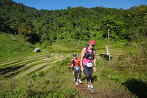 BIB: 
                            <button type="button" onclick="openModal(19088365)" class="btn btn-primary btn-sm float-right btn-popup" data-toggle="modal" data-target=".modal-high-quality">
                        <i class="fas fa-shopping-cart"></i> Add to Cart
                    </button>
                                            <button type="button" onclick="isThisMe(19088365, true)" class="btn btn-success btn-sm float-right btn-popup btn-isme hidden" data-toggle="tooltip" data-placement="bottom" title="นี่คือรูปของคุณใช่ไหม คลิกที่นี่เพื่อเอาเข้าอัลบั้ม">
                        <i class="fas fa-plus"></i> Add to album
                    </button>
                    <button type="button" onclick="isThisMe(19088365, false)" class="btn btn-warning btn-sm float-right btn-popup btn-isnotme hidden">
                        <i class="fas fa-ban"></i> Remove from album
                    </button>