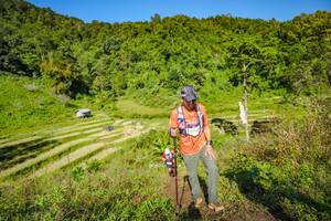 BIB: 
                            <button type="button" onclick="openModal(19351177)" class="btn btn-primary btn-sm float-right btn-popup" data-toggle="modal" data-target=".modal-high-quality">
                        <i class="fas fa-shopping-cart"></i> Add to Cart
                    </button>
                                            <button type="button" onclick="isThisMe(19351177, true)" class="btn btn-success btn-sm float-right btn-popup btn-isme hidden" data-toggle="tooltip" data-placement="bottom" title="นี่คือรูปของคุณใช่ไหม คลิกที่นี่เพื่อเอาเข้าอัลบั้ม">
                        <i class="fas fa-plus"></i> Add to album
                    </button>
                    <button type="button" onclick="isThisMe(19351177, false)" class="btn btn-warning btn-sm float-right btn-popup btn-isnotme hidden">
                        <i class="fas fa-ban"></i> Remove from album
                    </button>