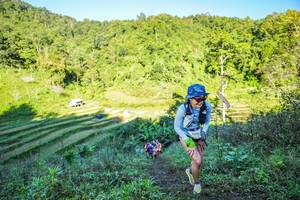 BIB: 2004
                            <button type="button" onclick="openModal(19348165)" class="btn btn-primary btn-sm float-right btn-popup" data-toggle="modal" data-target=".modal-high-quality">
                        <i class="fas fa-shopping-cart"></i> Add to Cart
                    </button>
                                            <button type="button" onclick="isThisMe(19348165, true)" class="btn btn-success btn-sm float-right btn-popup btn-isme hidden" data-toggle="tooltip" data-placement="bottom" title="นี่คือรูปของคุณใช่ไหม คลิกที่นี่เพื่อเอาเข้าอัลบั้ม">
                        <i class="fas fa-plus"></i> Add to album
                    </button>
                    <button type="button" onclick="isThisMe(19348165, false)" class="btn btn-warning btn-sm float-right btn-popup btn-isnotme hidden">
                        <i class="fas fa-ban"></i> Remove from album
                    </button>