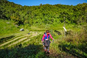 BIB: 
                            <button type="button" onclick="openModal(19350471)" class="btn btn-primary btn-sm float-right btn-popup" data-toggle="modal" data-target=".modal-high-quality">
                        <i class="fas fa-shopping-cart"></i> Add to Cart
                    </button>
                                            <button type="button" onclick="isThisMe(19350471, true)" class="btn btn-success btn-sm float-right btn-popup btn-isme hidden" data-toggle="tooltip" data-placement="bottom" title="นี่คือรูปของคุณใช่ไหม คลิกที่นี่เพื่อเอาเข้าอัลบั้ม">
                        <i class="fas fa-plus"></i> Add to album
                    </button>
                    <button type="button" onclick="isThisMe(19350471, false)" class="btn btn-warning btn-sm float-right btn-popup btn-isnotme hidden">
                        <i class="fas fa-ban"></i> Remove from album
                    </button>