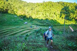 BIB: 
                            <button type="button" onclick="openModal(19347088)" class="btn btn-primary btn-sm float-right btn-popup" data-toggle="modal" data-target=".modal-high-quality">
                        <i class="fas fa-shopping-cart"></i> Add to Cart
                    </button>
                                            <button type="button" onclick="isThisMe(19347088, true)" class="btn btn-success btn-sm float-right btn-popup btn-isme hidden" data-toggle="tooltip" data-placement="bottom" title="นี่คือรูปของคุณใช่ไหม คลิกที่นี่เพื่อเอาเข้าอัลบั้ม">
                        <i class="fas fa-plus"></i> Add to album
                    </button>
                    <button type="button" onclick="isThisMe(19347088, false)" class="btn btn-warning btn-sm float-right btn-popup btn-isnotme hidden">
                        <i class="fas fa-ban"></i> Remove from album
                    </button>