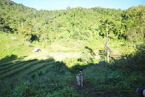 BIB: 
                            <button type="button" onclick="openModal(19079441)" class="btn btn-primary btn-sm float-right btn-popup" data-toggle="modal" data-target=".modal-high-quality">
                        <i class="fas fa-shopping-cart"></i> Add to Cart
                    </button>
                                            <button type="button" onclick="isThisMe(19079441, true)" class="btn btn-success btn-sm float-right btn-popup btn-isme hidden" data-toggle="tooltip" data-placement="bottom" title="นี่คือรูปของคุณใช่ไหม คลิกที่นี่เพื่อเอาเข้าอัลบั้ม">
                        <i class="fas fa-plus"></i> Add to album
                    </button>
                    <button type="button" onclick="isThisMe(19079441, false)" class="btn btn-warning btn-sm float-right btn-popup btn-isnotme hidden">
                        <i class="fas fa-ban"></i> Remove from album
                    </button>