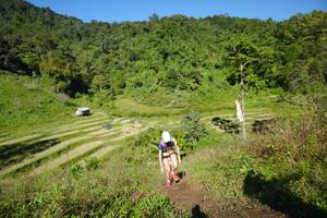 BIB: 
                            <button type="button" onclick="openModal(19071431)" class="btn btn-primary btn-sm float-right btn-popup" data-toggle="modal" data-target=".modal-high-quality">
                        <i class="fas fa-shopping-cart"></i> Add to Cart
                    </button>
                                            <button type="button" onclick="isThisMe(19071431, true)" class="btn btn-success btn-sm float-right btn-popup btn-isme hidden" data-toggle="tooltip" data-placement="bottom" title="นี่คือรูปของคุณใช่ไหม คลิกที่นี่เพื่อเอาเข้าอัลบั้ม">
                        <i class="fas fa-plus"></i> Add to album
                    </button>
                    <button type="button" onclick="isThisMe(19071431, false)" class="btn btn-warning btn-sm float-right btn-popup btn-isnotme hidden">
                        <i class="fas fa-ban"></i> Remove from album
                    </button>