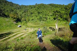 BIB: 
                            <button type="button" onclick="openModal(19102818)" class="btn btn-primary btn-sm float-right btn-popup" data-toggle="modal" data-target=".modal-high-quality">
                        <i class="fas fa-shopping-cart"></i> Add to Cart
                    </button>
                                            <button type="button" onclick="isThisMe(19102818, true)" class="btn btn-success btn-sm float-right btn-popup btn-isme hidden" data-toggle="tooltip" data-placement="bottom" title="นี่คือรูปของคุณใช่ไหม คลิกที่นี่เพื่อเอาเข้าอัลบั้ม">
                        <i class="fas fa-plus"></i> Add to album
                    </button>
                    <button type="button" onclick="isThisMe(19102818, false)" class="btn btn-warning btn-sm float-right btn-popup btn-isnotme hidden">
                        <i class="fas fa-ban"></i> Remove from album
                    </button>