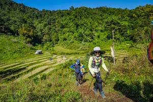 BIB: 
                            <button type="button" onclick="openModal(19353040)" class="btn btn-primary btn-sm float-right btn-popup" data-toggle="modal" data-target=".modal-high-quality">
                        <i class="fas fa-shopping-cart"></i> Add to Cart
                    </button>
                                            <button type="button" onclick="isThisMe(19353040, true)" class="btn btn-success btn-sm float-right btn-popup btn-isme hidden" data-toggle="tooltip" data-placement="bottom" title="นี่คือรูปของคุณใช่ไหม คลิกที่นี่เพื่อเอาเข้าอัลบั้ม">
                        <i class="fas fa-plus"></i> Add to album
                    </button>
                    <button type="button" onclick="isThisMe(19353040, false)" class="btn btn-warning btn-sm float-right btn-popup btn-isnotme hidden">
                        <i class="fas fa-ban"></i> Remove from album
                    </button>