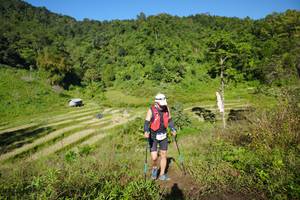 BIB: 
                            <button type="button" onclick="openModal(19104076)" class="btn btn-primary btn-sm float-right btn-popup" data-toggle="modal" data-target=".modal-high-quality">
                        <i class="fas fa-shopping-cart"></i> Add to Cart
                    </button>
                                            <button type="button" onclick="isThisMe(19104076, true)" class="btn btn-success btn-sm float-right btn-popup btn-isme hidden" data-toggle="tooltip" data-placement="bottom" title="นี่คือรูปของคุณใช่ไหม คลิกที่นี่เพื่อเอาเข้าอัลบั้ม">
                        <i class="fas fa-plus"></i> Add to album
                    </button>
                    <button type="button" onclick="isThisMe(19104076, false)" class="btn btn-warning btn-sm float-right btn-popup btn-isnotme hidden">
                        <i class="fas fa-ban"></i> Remove from album
                    </button>