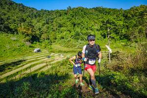 BIB: 292
                            <button type="button" onclick="openModal(19350234)" class="btn btn-primary btn-sm float-right btn-popup" data-toggle="modal" data-target=".modal-high-quality">
                        <i class="fas fa-shopping-cart"></i> Add to Cart
                    </button>
                                            <button type="button" onclick="isThisMe(19350234, true)" class="btn btn-success btn-sm float-right btn-popup btn-isme hidden" data-toggle="tooltip" data-placement="bottom" title="นี่คือรูปของคุณใช่ไหม คลิกที่นี่เพื่อเอาเข้าอัลบั้ม">
                        <i class="fas fa-plus"></i> Add to album
                    </button>
                    <button type="button" onclick="isThisMe(19350234, false)" class="btn btn-warning btn-sm float-right btn-popup btn-isnotme hidden">
                        <i class="fas fa-ban"></i> Remove from album
                    </button>