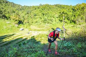 BIB: 
                            <button type="button" onclick="openModal(19349193)" class="btn btn-primary btn-sm float-right btn-popup" data-toggle="modal" data-target=".modal-high-quality">
                        <i class="fas fa-shopping-cart"></i> Add to Cart
                    </button>
                                            <button type="button" onclick="isThisMe(19349193, true)" class="btn btn-success btn-sm float-right btn-popup btn-isme hidden" data-toggle="tooltip" data-placement="bottom" title="นี่คือรูปของคุณใช่ไหม คลิกที่นี่เพื่อเอาเข้าอัลบั้ม">
                        <i class="fas fa-plus"></i> Add to album
                    </button>
                    <button type="button" onclick="isThisMe(19349193, false)" class="btn btn-warning btn-sm float-right btn-popup btn-isnotme hidden">
                        <i class="fas fa-ban"></i> Remove from album
                    </button>