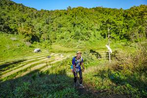 BIB: 
                            <button type="button" onclick="openModal(19349835)" class="btn btn-primary btn-sm float-right btn-popup" data-toggle="modal" data-target=".modal-high-quality">
                        <i class="fas fa-shopping-cart"></i> Add to Cart
                    </button>
                                            <button type="button" onclick="isThisMe(19349835, true)" class="btn btn-success btn-sm float-right btn-popup btn-isme hidden" data-toggle="tooltip" data-placement="bottom" title="นี่คือรูปของคุณใช่ไหม คลิกที่นี่เพื่อเอาเข้าอัลบั้ม">
                        <i class="fas fa-plus"></i> Add to album
                    </button>
                    <button type="button" onclick="isThisMe(19349835, false)" class="btn btn-warning btn-sm float-right btn-popup btn-isnotme hidden">
                        <i class="fas fa-ban"></i> Remove from album
                    </button>