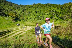 BIB: 
                            <button type="button" onclick="openModal(19351162)" class="btn btn-primary btn-sm float-right btn-popup" data-toggle="modal" data-target=".modal-high-quality">
                        <i class="fas fa-shopping-cart"></i> Add to Cart
                    </button>
                                            <button type="button" onclick="isThisMe(19351162, true)" class="btn btn-success btn-sm float-right btn-popup btn-isme hidden" data-toggle="tooltip" data-placement="bottom" title="นี่คือรูปของคุณใช่ไหม คลิกที่นี่เพื่อเอาเข้าอัลบั้ม">
                        <i class="fas fa-plus"></i> Add to album
                    </button>
                    <button type="button" onclick="isThisMe(19351162, false)" class="btn btn-warning btn-sm float-right btn-popup btn-isnotme hidden">
                        <i class="fas fa-ban"></i> Remove from album
                    </button>