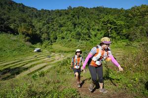 BIB: 
                            <button type="button" onclick="openModal(19095922)" class="btn btn-primary btn-sm float-right btn-popup" data-toggle="modal" data-target=".modal-high-quality">
                        <i class="fas fa-shopping-cart"></i> Add to Cart
                    </button>
                                            <button type="button" onclick="isThisMe(19095922, true)" class="btn btn-success btn-sm float-right btn-popup btn-isme hidden" data-toggle="tooltip" data-placement="bottom" title="นี่คือรูปของคุณใช่ไหม คลิกที่นี่เพื่อเอาเข้าอัลบั้ม">
                        <i class="fas fa-plus"></i> Add to album
                    </button>
                    <button type="button" onclick="isThisMe(19095922, false)" class="btn btn-warning btn-sm float-right btn-popup btn-isnotme hidden">
                        <i class="fas fa-ban"></i> Remove from album
                    </button>