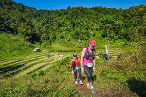 BIB: 
                            <button type="button" onclick="openModal(19344127)" class="btn btn-primary btn-sm float-right btn-popup" data-toggle="modal" data-target=".modal-high-quality">
                        <i class="fas fa-shopping-cart"></i> Add to Cart
                    </button>
                                            <button type="button" onclick="isThisMe(19344127, true)" class="btn btn-success btn-sm float-right btn-popup btn-isme hidden" data-toggle="tooltip" data-placement="bottom" title="นี่คือรูปของคุณใช่ไหม คลิกที่นี่เพื่อเอาเข้าอัลบั้ม">
                        <i class="fas fa-plus"></i> Add to album
                    </button>
                    <button type="button" onclick="isThisMe(19344127, false)" class="btn btn-warning btn-sm float-right btn-popup btn-isnotme hidden">
                        <i class="fas fa-ban"></i> Remove from album
                    </button>