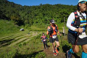 BIB: 2017, 3393, 
                            <button type="button" onclick="openModal(19090138)" class="btn btn-primary btn-sm float-right btn-popup" data-toggle="modal" data-target=".modal-high-quality">
                        <i class="fas fa-shopping-cart"></i> Add to Cart
                    </button>
                                            <button type="button" onclick="isThisMe(19090138, true)" class="btn btn-success btn-sm float-right btn-popup btn-isme hidden" data-toggle="tooltip" data-placement="bottom" title="นี่คือรูปของคุณใช่ไหม คลิกที่นี่เพื่อเอาเข้าอัลบั้ม">
                        <i class="fas fa-plus"></i> Add to album
                    </button>
                    <button type="button" onclick="isThisMe(19090138, false)" class="btn btn-warning btn-sm float-right btn-popup btn-isnotme hidden">
                        <i class="fas fa-ban"></i> Remove from album
                    </button>