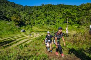 BIB: 
                            <button type="button" onclick="openModal(19353030)" class="btn btn-primary btn-sm float-right btn-popup" data-toggle="modal" data-target=".modal-high-quality">
                        <i class="fas fa-shopping-cart"></i> Add to Cart
                    </button>
                                            <button type="button" onclick="isThisMe(19353030, true)" class="btn btn-success btn-sm float-right btn-popup btn-isme hidden" data-toggle="tooltip" data-placement="bottom" title="นี่คือรูปของคุณใช่ไหม คลิกที่นี่เพื่อเอาเข้าอัลบั้ม">
                        <i class="fas fa-plus"></i> Add to album
                    </button>
                    <button type="button" onclick="isThisMe(19353030, false)" class="btn btn-warning btn-sm float-right btn-popup btn-isnotme hidden">
                        <i class="fas fa-ban"></i> Remove from album
                    </button>