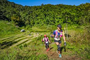 BIB: 
                            <button type="button" onclick="openModal(19344853)" class="btn btn-primary btn-sm float-right btn-popup" data-toggle="modal" data-target=".modal-high-quality">
                        <i class="fas fa-shopping-cart"></i> Add to Cart
                    </button>
                                            <button type="button" onclick="isThisMe(19344853, true)" class="btn btn-success btn-sm float-right btn-popup btn-isme hidden" data-toggle="tooltip" data-placement="bottom" title="นี่คือรูปของคุณใช่ไหม คลิกที่นี่เพื่อเอาเข้าอัลบั้ม">
                        <i class="fas fa-plus"></i> Add to album
                    </button>
                    <button type="button" onclick="isThisMe(19344853, false)" class="btn btn-warning btn-sm float-right btn-popup btn-isnotme hidden">
                        <i class="fas fa-ban"></i> Remove from album
                    </button>