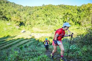 BIB: 201
                            <button type="button" onclick="openModal(19348763)" class="btn btn-primary btn-sm float-right btn-popup" data-toggle="modal" data-target=".modal-high-quality">
                        <i class="fas fa-shopping-cart"></i> Add to Cart
                    </button>
                                            <button type="button" onclick="isThisMe(19348763, true)" class="btn btn-success btn-sm float-right btn-popup btn-isme hidden" data-toggle="tooltip" data-placement="bottom" title="นี่คือรูปของคุณใช่ไหม คลิกที่นี่เพื่อเอาเข้าอัลบั้ม">
                        <i class="fas fa-plus"></i> Add to album
                    </button>
                    <button type="button" onclick="isThisMe(19348763, false)" class="btn btn-warning btn-sm float-right btn-popup btn-isnotme hidden">
                        <i class="fas fa-ban"></i> Remove from album
                    </button>