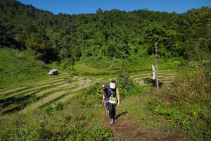 BIB: 
                            <button type="button" onclick="openModal(19091719)" class="btn btn-primary btn-sm float-right btn-popup" data-toggle="modal" data-target=".modal-high-quality">
                        <i class="fas fa-shopping-cart"></i> Add to Cart
                    </button>
                                            <button type="button" onclick="isThisMe(19091719, true)" class="btn btn-success btn-sm float-right btn-popup btn-isme hidden" data-toggle="tooltip" data-placement="bottom" title="นี่คือรูปของคุณใช่ไหม คลิกที่นี่เพื่อเอาเข้าอัลบั้ม">
                        <i class="fas fa-plus"></i> Add to album
                    </button>
                    <button type="button" onclick="isThisMe(19091719, false)" class="btn btn-warning btn-sm float-right btn-popup btn-isnotme hidden">
                        <i class="fas fa-ban"></i> Remove from album
                    </button>