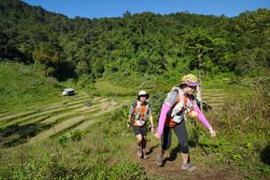 BIB: 
                            <button type="button" onclick="openModal(19095908)" class="btn btn-primary btn-sm float-right btn-popup" data-toggle="modal" data-target=".modal-high-quality">
                        <i class="fas fa-shopping-cart"></i> Add to Cart
                    </button>
                                            <button type="button" onclick="isThisMe(19095908, true)" class="btn btn-success btn-sm float-right btn-popup btn-isme hidden" data-toggle="tooltip" data-placement="bottom" title="นี่คือรูปของคุณใช่ไหม คลิกที่นี่เพื่อเอาเข้าอัลบั้ม">
                        <i class="fas fa-plus"></i> Add to album
                    </button>
                    <button type="button" onclick="isThisMe(19095908, false)" class="btn btn-warning btn-sm float-right btn-popup btn-isnotme hidden">
                        <i class="fas fa-ban"></i> Remove from album
                    </button>