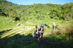 BIB: 
                            <button type="button" onclick="openModal(19088437)" class="btn btn-primary btn-sm float-right btn-popup" data-toggle="modal" data-target=".modal-high-quality">
                        <i class="fas fa-shopping-cart"></i> Add to Cart
                    </button>
                                            <button type="button" onclick="isThisMe(19088437, true)" class="btn btn-success btn-sm float-right btn-popup btn-isme hidden" data-toggle="tooltip" data-placement="bottom" title="นี่คือรูปของคุณใช่ไหม คลิกที่นี่เพื่อเอาเข้าอัลบั้ม">
                        <i class="fas fa-plus"></i> Add to album
                    </button>
                    <button type="button" onclick="isThisMe(19088437, false)" class="btn btn-warning btn-sm float-right btn-popup btn-isnotme hidden">
                        <i class="fas fa-ban"></i> Remove from album
                    </button>