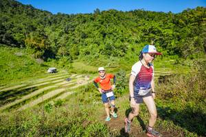 BIB: 1433
                            <button type="button" onclick="openModal(19351499)" class="btn btn-primary btn-sm float-right btn-popup" data-toggle="modal" data-target=".modal-high-quality">
                        <i class="fas fa-shopping-cart"></i> Add to Cart
                    </button>
                                            <button type="button" onclick="isThisMe(19351499, true)" class="btn btn-success btn-sm float-right btn-popup btn-isme hidden" data-toggle="tooltip" data-placement="bottom" title="นี่คือรูปของคุณใช่ไหม คลิกที่นี่เพื่อเอาเข้าอัลบั้ม">
                        <i class="fas fa-plus"></i> Add to album
                    </button>
                    <button type="button" onclick="isThisMe(19351499, false)" class="btn btn-warning btn-sm float-right btn-popup btn-isnotme hidden">
                        <i class="fas fa-ban"></i> Remove from album
                    </button>