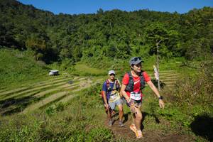 BIB: 
                            <button type="button" onclick="openModal(19093316)" class="btn btn-primary btn-sm float-right btn-popup" data-toggle="modal" data-target=".modal-high-quality">
                        <i class="fas fa-shopping-cart"></i> Add to Cart
                    </button>
                                            <button type="button" onclick="isThisMe(19093316, true)" class="btn btn-success btn-sm float-right btn-popup btn-isme hidden" data-toggle="tooltip" data-placement="bottom" title="นี่คือรูปของคุณใช่ไหม คลิกที่นี่เพื่อเอาเข้าอัลบั้ม">
                        <i class="fas fa-plus"></i> Add to album
                    </button>
                    <button type="button" onclick="isThisMe(19093316, false)" class="btn btn-warning btn-sm float-right btn-popup btn-isnotme hidden">
                        <i class="fas fa-ban"></i> Remove from album
                    </button>