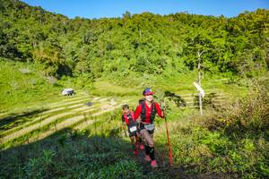 BIB: 
                            <button type="button" onclick="openModal(19349861)" class="btn btn-primary btn-sm float-right btn-popup" data-toggle="modal" data-target=".modal-high-quality">
                        <i class="fas fa-shopping-cart"></i> Add to Cart
                    </button>
                                            <button type="button" onclick="isThisMe(19349861, true)" class="btn btn-success btn-sm float-right btn-popup btn-isme hidden" data-toggle="tooltip" data-placement="bottom" title="นี่คือรูปของคุณใช่ไหม คลิกที่นี่เพื่อเอาเข้าอัลบั้ม">
                        <i class="fas fa-plus"></i> Add to album
                    </button>
                    <button type="button" onclick="isThisMe(19349861, false)" class="btn btn-warning btn-sm float-right btn-popup btn-isnotme hidden">
                        <i class="fas fa-ban"></i> Remove from album
                    </button>