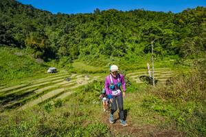 BIB: 
                            <button type="button" onclick="openModal(19344198)" class="btn btn-primary btn-sm float-right btn-popup" data-toggle="modal" data-target=".modal-high-quality">
                        <i class="fas fa-shopping-cart"></i> Add to Cart
                    </button>
                                            <button type="button" onclick="isThisMe(19344198, true)" class="btn btn-success btn-sm float-right btn-popup btn-isme hidden" data-toggle="tooltip" data-placement="bottom" title="นี่คือรูปของคุณใช่ไหม คลิกที่นี่เพื่อเอาเข้าอัลบั้ม">
                        <i class="fas fa-plus"></i> Add to album
                    </button>
                    <button type="button" onclick="isThisMe(19344198, false)" class="btn btn-warning btn-sm float-right btn-popup btn-isnotme hidden">
                        <i class="fas fa-ban"></i> Remove from album
                    </button>