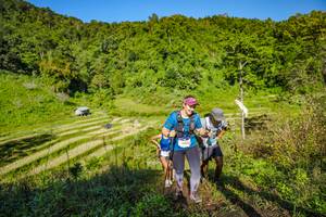 BIB: 
                            <button type="button" onclick="openModal(19350522)" class="btn btn-primary btn-sm float-right btn-popup" data-toggle="modal" data-target=".modal-high-quality">
                        <i class="fas fa-shopping-cart"></i> Add to Cart
                    </button>
                                            <button type="button" onclick="isThisMe(19350522, true)" class="btn btn-success btn-sm float-right btn-popup btn-isme hidden" data-toggle="tooltip" data-placement="bottom" title="นี่คือรูปของคุณใช่ไหม คลิกที่นี่เพื่อเอาเข้าอัลบั้ม">
                        <i class="fas fa-plus"></i> Add to album
                    </button>
                    <button type="button" onclick="isThisMe(19350522, false)" class="btn btn-warning btn-sm float-right btn-popup btn-isnotme hidden">
                        <i class="fas fa-ban"></i> Remove from album
                    </button>