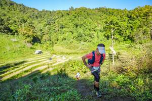 BIB: 
                            <button type="button" onclick="openModal(19349626)" class="btn btn-primary btn-sm float-right btn-popup" data-toggle="modal" data-target=".modal-high-quality">
                        <i class="fas fa-shopping-cart"></i> Add to Cart
                    </button>
                                            <button type="button" onclick="isThisMe(19349626, true)" class="btn btn-success btn-sm float-right btn-popup btn-isme hidden" data-toggle="tooltip" data-placement="bottom" title="นี่คือรูปของคุณใช่ไหม คลิกที่นี่เพื่อเอาเข้าอัลบั้ม">
                        <i class="fas fa-plus"></i> Add to album
                    </button>
                    <button type="button" onclick="isThisMe(19349626, false)" class="btn btn-warning btn-sm float-right btn-popup btn-isnotme hidden">
                        <i class="fas fa-ban"></i> Remove from album
                    </button>