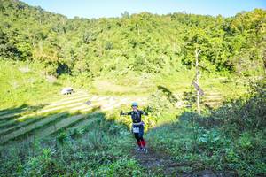 BIB: 
                            <button type="button" onclick="openModal(19348865)" class="btn btn-primary btn-sm float-right btn-popup" data-toggle="modal" data-target=".modal-high-quality">
                        <i class="fas fa-shopping-cart"></i> Add to Cart
                    </button>
                                            <button type="button" onclick="isThisMe(19348865, true)" class="btn btn-success btn-sm float-right btn-popup btn-isme hidden" data-toggle="tooltip" data-placement="bottom" title="นี่คือรูปของคุณใช่ไหม คลิกที่นี่เพื่อเอาเข้าอัลบั้ม">
                        <i class="fas fa-plus"></i> Add to album
                    </button>
                    <button type="button" onclick="isThisMe(19348865, false)" class="btn btn-warning btn-sm float-right btn-popup btn-isnotme hidden">
                        <i class="fas fa-ban"></i> Remove from album
                    </button>