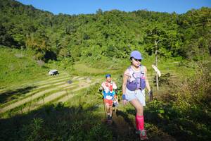 BIB: 
                            <button type="button" onclick="openModal(19092635)" class="btn btn-primary btn-sm float-right btn-popup" data-toggle="modal" data-target=".modal-high-quality">
                        <i class="fas fa-shopping-cart"></i> Add to Cart
                    </button>
                                            <button type="button" onclick="isThisMe(19092635, true)" class="btn btn-success btn-sm float-right btn-popup btn-isme hidden" data-toggle="tooltip" data-placement="bottom" title="นี่คือรูปของคุณใช่ไหม คลิกที่นี่เพื่อเอาเข้าอัลบั้ม">
                        <i class="fas fa-plus"></i> Add to album
                    </button>
                    <button type="button" onclick="isThisMe(19092635, false)" class="btn btn-warning btn-sm float-right btn-popup btn-isnotme hidden">
                        <i class="fas fa-ban"></i> Remove from album
                    </button>