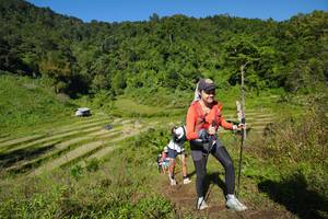 BIB: 
                            <button type="button" onclick="openModal(19088442)" class="btn btn-primary btn-sm float-right btn-popup" data-toggle="modal" data-target=".modal-high-quality">
                        <i class="fas fa-shopping-cart"></i> Add to Cart
                    </button>
                                            <button type="button" onclick="isThisMe(19088442, true)" class="btn btn-success btn-sm float-right btn-popup btn-isme hidden" data-toggle="tooltip" data-placement="bottom" title="นี่คือรูปของคุณใช่ไหม คลิกที่นี่เพื่อเอาเข้าอัลบั้ม">
                        <i class="fas fa-plus"></i> Add to album
                    </button>
                    <button type="button" onclick="isThisMe(19088442, false)" class="btn btn-warning btn-sm float-right btn-popup btn-isnotme hidden">
                        <i class="fas fa-ban"></i> Remove from album
                    </button>