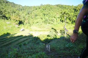 BIB: 
                            <button type="button" onclick="openModal(19079429)" class="btn btn-primary btn-sm float-right btn-popup" data-toggle="modal" data-target=".modal-high-quality">
                        <i class="fas fa-shopping-cart"></i> Add to Cart
                    </button>
                                            <button type="button" onclick="isThisMe(19079429, true)" class="btn btn-success btn-sm float-right btn-popup btn-isme hidden" data-toggle="tooltip" data-placement="bottom" title="นี่คือรูปของคุณใช่ไหม คลิกที่นี่เพื่อเอาเข้าอัลบั้ม">
                        <i class="fas fa-plus"></i> Add to album
                    </button>
                    <button type="button" onclick="isThisMe(19079429, false)" class="btn btn-warning btn-sm float-right btn-popup btn-isnotme hidden">
                        <i class="fas fa-ban"></i> Remove from album
                    </button>