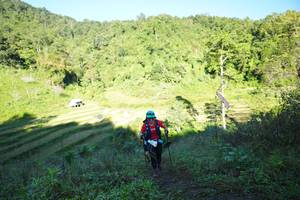 BIB: 
                            <button type="button" onclick="openModal(19079506)" class="btn btn-primary btn-sm float-right btn-popup" data-toggle="modal" data-target=".modal-high-quality">
                        <i class="fas fa-shopping-cart"></i> Add to Cart
                    </button>
                                            <button type="button" onclick="isThisMe(19079506, true)" class="btn btn-success btn-sm float-right btn-popup btn-isme hidden" data-toggle="tooltip" data-placement="bottom" title="นี่คือรูปของคุณใช่ไหม คลิกที่นี่เพื่อเอาเข้าอัลบั้ม">
                        <i class="fas fa-plus"></i> Add to album
                    </button>
                    <button type="button" onclick="isThisMe(19079506, false)" class="btn btn-warning btn-sm float-right btn-popup btn-isnotme hidden">
                        <i class="fas fa-ban"></i> Remove from album
                    </button>