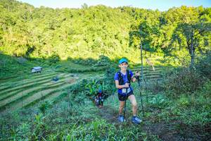 BIB: 
                            <button type="button" onclick="openModal(19347160)" class="btn btn-primary btn-sm float-right btn-popup" data-toggle="modal" data-target=".modal-high-quality">
                        <i class="fas fa-shopping-cart"></i> Add to Cart
                    </button>
                                            <button type="button" onclick="isThisMe(19347160, true)" class="btn btn-success btn-sm float-right btn-popup btn-isme hidden" data-toggle="tooltip" data-placement="bottom" title="นี่คือรูปของคุณใช่ไหม คลิกที่นี่เพื่อเอาเข้าอัลบั้ม">
                        <i class="fas fa-plus"></i> Add to album
                    </button>
                    <button type="button" onclick="isThisMe(19347160, false)" class="btn btn-warning btn-sm float-right btn-popup btn-isnotme hidden">
                        <i class="fas fa-ban"></i> Remove from album
                    </button>