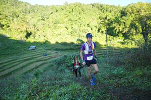 BIB: 
                            <button type="button" onclick="openModal(19066401)" class="btn btn-primary btn-sm float-right btn-popup" data-toggle="modal" data-target=".modal-high-quality">
                        <i class="fas fa-shopping-cart"></i> Add to Cart
                    </button>
                                            <button type="button" onclick="isThisMe(19066401, true)" class="btn btn-success btn-sm float-right btn-popup btn-isme hidden" data-toggle="tooltip" data-placement="bottom" title="นี่คือรูปของคุณใช่ไหม คลิกที่นี่เพื่อเอาเข้าอัลบั้ม">
                        <i class="fas fa-plus"></i> Add to album
                    </button>
                    <button type="button" onclick="isThisMe(19066401, false)" class="btn btn-warning btn-sm float-right btn-popup btn-isnotme hidden">
                        <i class="fas fa-ban"></i> Remove from album
                    </button>