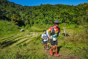 BIB: 2381, 
                            <button type="button" onclick="openModal(19345070)" class="btn btn-primary btn-sm float-right btn-popup" data-toggle="modal" data-target=".modal-high-quality">
                        <i class="fas fa-shopping-cart"></i> Add to Cart
                    </button>
                                            <button type="button" onclick="isThisMe(19345070, true)" class="btn btn-success btn-sm float-right btn-popup btn-isme hidden" data-toggle="tooltip" data-placement="bottom" title="นี่คือรูปของคุณใช่ไหม คลิกที่นี่เพื่อเอาเข้าอัลบั้ม">
                        <i class="fas fa-plus"></i> Add to album
                    </button>
                    <button type="button" onclick="isThisMe(19345070, false)" class="btn btn-warning btn-sm float-right btn-popup btn-isnotme hidden">
                        <i class="fas fa-ban"></i> Remove from album
                    </button>