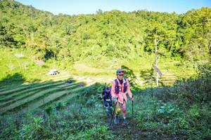 BIB: 
                            <button type="button" onclick="openModal(19348173)" class="btn btn-primary btn-sm float-right btn-popup" data-toggle="modal" data-target=".modal-high-quality">
                        <i class="fas fa-shopping-cart"></i> Add to Cart
                    </button>
                                            <button type="button" onclick="isThisMe(19348173, true)" class="btn btn-success btn-sm float-right btn-popup btn-isme hidden" data-toggle="tooltip" data-placement="bottom" title="นี่คือรูปของคุณใช่ไหม คลิกที่นี่เพื่อเอาเข้าอัลบั้ม">
                        <i class="fas fa-plus"></i> Add to album
                    </button>
                    <button type="button" onclick="isThisMe(19348173, false)" class="btn btn-warning btn-sm float-right btn-popup btn-isnotme hidden">
                        <i class="fas fa-ban"></i> Remove from album
                    </button>