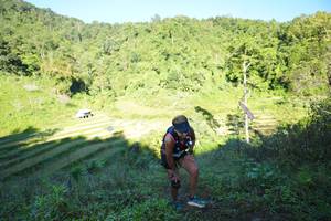 BIB: 
                            <button type="button" onclick="openModal(19080656)" class="btn btn-primary btn-sm float-right btn-popup" data-toggle="modal" data-target=".modal-high-quality">
                        <i class="fas fa-shopping-cart"></i> Add to Cart
                    </button>
                                            <button type="button" onclick="isThisMe(19080656, true)" class="btn btn-success btn-sm float-right btn-popup btn-isme hidden" data-toggle="tooltip" data-placement="bottom" title="นี่คือรูปของคุณใช่ไหม คลิกที่นี่เพื่อเอาเข้าอัลบั้ม">
                        <i class="fas fa-plus"></i> Add to album
                    </button>
                    <button type="button" onclick="isThisMe(19080656, false)" class="btn btn-warning btn-sm float-right btn-popup btn-isnotme hidden">
                        <i class="fas fa-ban"></i> Remove from album
                    </button>