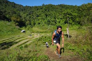 BIB: 
                            <button type="button" onclick="openModal(19095143)" class="btn btn-primary btn-sm float-right btn-popup" data-toggle="modal" data-target=".modal-high-quality">
                        <i class="fas fa-shopping-cart"></i> Add to Cart
                    </button>
                                            <button type="button" onclick="isThisMe(19095143, true)" class="btn btn-success btn-sm float-right btn-popup btn-isme hidden" data-toggle="tooltip" data-placement="bottom" title="นี่คือรูปของคุณใช่ไหม คลิกที่นี่เพื่อเอาเข้าอัลบั้ม">
                        <i class="fas fa-plus"></i> Add to album
                    </button>
                    <button type="button" onclick="isThisMe(19095143, false)" class="btn btn-warning btn-sm float-right btn-popup btn-isnotme hidden">
                        <i class="fas fa-ban"></i> Remove from album
                    </button>