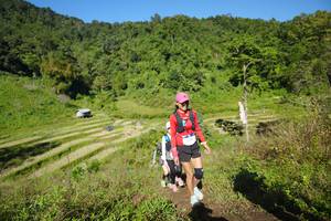 BIB: 
                            <button type="button" onclick="openModal(19073368)" class="btn btn-primary btn-sm float-right btn-popup" data-toggle="modal" data-target=".modal-high-quality">
                        <i class="fas fa-shopping-cart"></i> Add to Cart
                    </button>
                                            <button type="button" onclick="isThisMe(19073368, true)" class="btn btn-success btn-sm float-right btn-popup btn-isme hidden" data-toggle="tooltip" data-placement="bottom" title="นี่คือรูปของคุณใช่ไหม คลิกที่นี่เพื่อเอาเข้าอัลบั้ม">
                        <i class="fas fa-plus"></i> Add to album
                    </button>
                    <button type="button" onclick="isThisMe(19073368, false)" class="btn btn-warning btn-sm float-right btn-popup btn-isnotme hidden">
                        <i class="fas fa-ban"></i> Remove from album
                    </button>