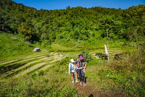 BIB: 
                            <button type="button" onclick="openModal(19352254)" class="btn btn-primary btn-sm float-right btn-popup" data-toggle="modal" data-target=".modal-high-quality">
                        <i class="fas fa-shopping-cart"></i> Add to Cart
                    </button>
                                            <button type="button" onclick="isThisMe(19352254, true)" class="btn btn-success btn-sm float-right btn-popup btn-isme hidden" data-toggle="tooltip" data-placement="bottom" title="นี่คือรูปของคุณใช่ไหม คลิกที่นี่เพื่อเอาเข้าอัลบั้ม">
                        <i class="fas fa-plus"></i> Add to album
                    </button>
                    <button type="button" onclick="isThisMe(19352254, false)" class="btn btn-warning btn-sm float-right btn-popup btn-isnotme hidden">
                        <i class="fas fa-ban"></i> Remove from album
                    </button>