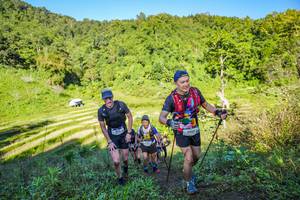 BIB: 
                            <button type="button" onclick="openModal(19349650)" class="btn btn-primary btn-sm float-right btn-popup" data-toggle="modal" data-target=".modal-high-quality">
                        <i class="fas fa-shopping-cart"></i> Add to Cart
                    </button>
                                            <button type="button" onclick="isThisMe(19349650, true)" class="btn btn-success btn-sm float-right btn-popup btn-isme hidden" data-toggle="tooltip" data-placement="bottom" title="นี่คือรูปของคุณใช่ไหม คลิกที่นี่เพื่อเอาเข้าอัลบั้ม">
                        <i class="fas fa-plus"></i> Add to album
                    </button>
                    <button type="button" onclick="isThisMe(19349650, false)" class="btn btn-warning btn-sm float-right btn-popup btn-isnotme hidden">
                        <i class="fas fa-ban"></i> Remove from album
                    </button>